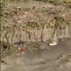 В Курске река фекалий из жилого дома текла в урочище Крутой лог