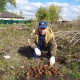 В Курской области нашли 28 гранат