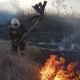 В Курской области сгорели дом, два сарая и автомобиль