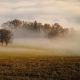 В Курской области 17 октября ожидается туман и от нуля до +13 градусов