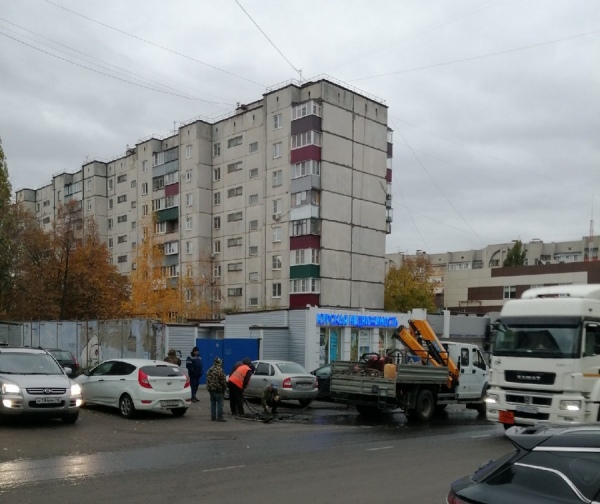 Мусакина Елена Васильевна Курск Фото Мусакина Елена Васильевна Курск Фото