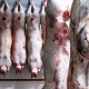 В Курской области начальник ветслужбы подписал документы на продажу сомнительного мяса