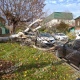 В Курске дерево рухнуло на два автомобиля