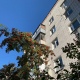 В Курской области в 2021 году иногородние приобрели 3 274 объекта недвижимости