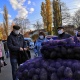 В Курске на ярмарке «Осень-2021» картофель продавали по 30 рублей