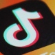 Для подростков Курской области создали правовой TikTok