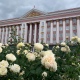 В Курской области предлагают учредить звания заслуженных артиста, врача и и учителя