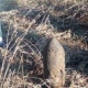 Под Курском обезвредили 50-килограммовую бомбу
