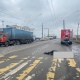 На окраине Курска мужчина погиб под колесами грузовика
