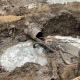 Из-за «черных копателей» остались без горячей воды 55 тысяч жителей Курска