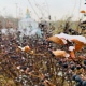 В Курской области ожидается до 4 градусов мороза и дождь со снегом