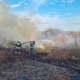 Под Курском поймали поджигателя, устроившего пожар на болоте