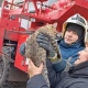 В Курске спасли кота с 20-метровой высоты