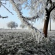 В Курской области 17 ноября ожидается до 10 градусов мороза