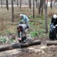 В Курске волонтеры очистили от мусора лес на Волокно