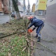 Спасатели убирают в Курске поваленные сильным ветром деревья