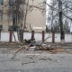 Стихия в Курске: ветер валит деревья, столбы и срывает крыши