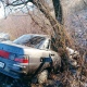 Под Курском пострадал водитель, врезавшись в дерево