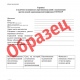 что в курске с коронавирусом на сегодня. 080561.0. что в курске с коронавирусом на сегодня фото. что в курске с коронавирусом на сегодня-080561.0. картинка что в курске с коронавирусом на сегодня. картинка 080561.0.