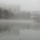 В Курской области 5 декабря ожидается туман и до 7 градусов мороза