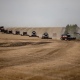 Сельское хозяйство Курской области получило от государства 5 миллиардов рублей