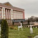 что в курске с коронавирусом на сегодня. 080623.0. что в курске с коронавирусом на сегодня фото. что в курске с коронавирусом на сегодня-080623.0. картинка что в курске с коронавирусом на сегодня. картинка 080623.0.