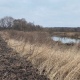 В Льговском районе Курской области незаконно распахали луг и прибрежную полосу