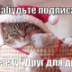 Завершается декада подписки со скидками. Не забудьте подписаться на газету «Друг для друга»!