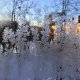 В Курске 15 декабря улицы припорошило снегом