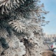 В Курской области 16 декабря ожидается морось со снегом, гололедица и до +3 градусов