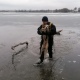 В Курской области водолазы спасли провалившуюся под лед собаку