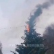В Курске загорелась елка у Дворца молодежи