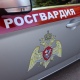 В Курске сотрудники Росгвардии задержали мужчину с тремя пакетами марихуаны