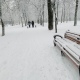 19 декабря в Курской области ожидаются сильный снег и метель