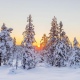 В Курской 21 декабря ожидается до 19 градусов мороза