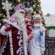 В Курске стартовала акция «Уличный Дед Мороз»