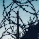 В Курске 50-летнему извращенцу за сексуальные действия с ребенком дали 5 лет