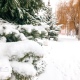 В Курской области после 19 градусов мороза потеплеет