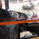 В Курске с 27 декабря проезд в общественном транспорте подорожает до 25 рублей