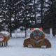 В Курской области соломенного тигра установили возле поселка Селекционный