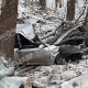 Под Курском машина разбилась об дерево