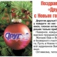 С наступающим Новым годом!