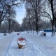 В Курской области 7 января ожидаются снег, гололед и от -4 до +1 градуса