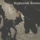 В полиции Курской области прокомментировали инцидент с голым мужчиной