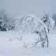 В Курской области 9 января ожидаются снегопады, метели и до 13 градусов мороза
