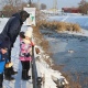 В Курской области насчитали 1300 уток и 7 лебедей
