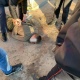 Солдат, ранивший курянина и убивший трех сослуживцев, признан невменяемым