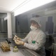 В больницы и поликлиники Курской области направлено 96 тыс. экспресс-тестов на коронавирус