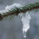 В Курской области 28 января ожидаются снегопады, метели и потепление до +1 градуса