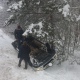В Курской области машина улетела с дороги в лес